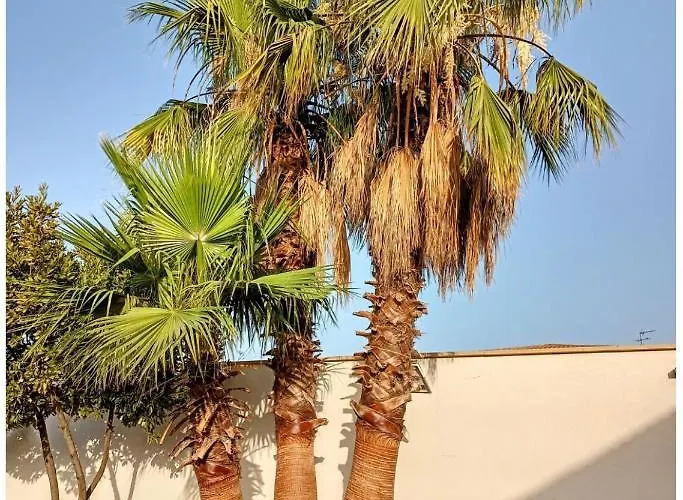 فيلة Flat